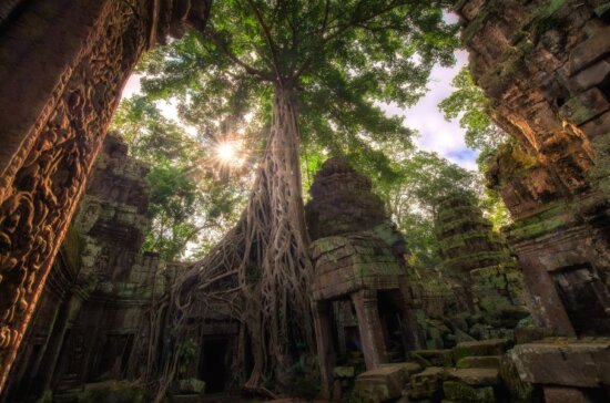 Ta Prohm Temple - Siem Reap, Cambodia - Travel Deals from the USA - Wake Up Here