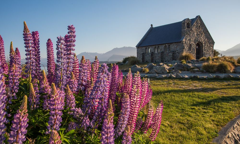 10 day Ultimate South Island New Zealand