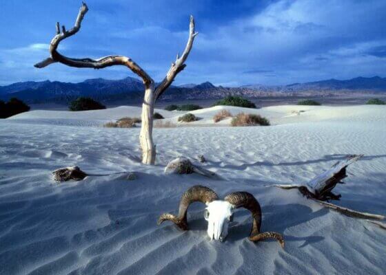 Death Valley, California - Travel Deals from the USA - Wake Up Here