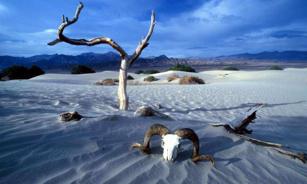 4 day Death Valley, Yosemite, San Francisco