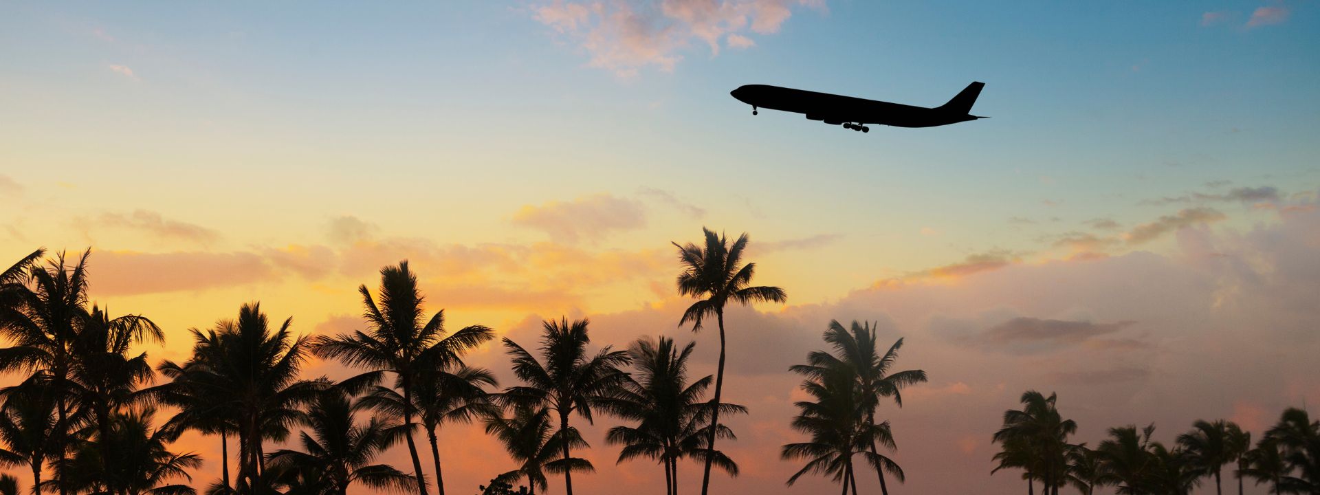 Tours with Flights - Wake Up Here