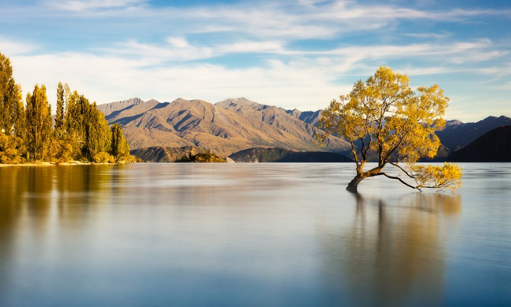 8 day South Island 4WD Journey
