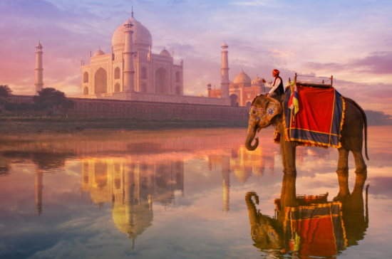 Elephant at Taj Mahal - India - Travel Deals from the USA - Wake Up Here
