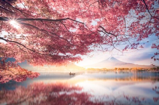 Mt Fuji at Lake Kawaguchiko - Japan - Travel Deals & Tours - Wake Up Here