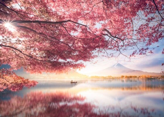 Mt Fuji at Lake Kawaguchiko - Japan - Travel Deals & Tours - Wake Up Here